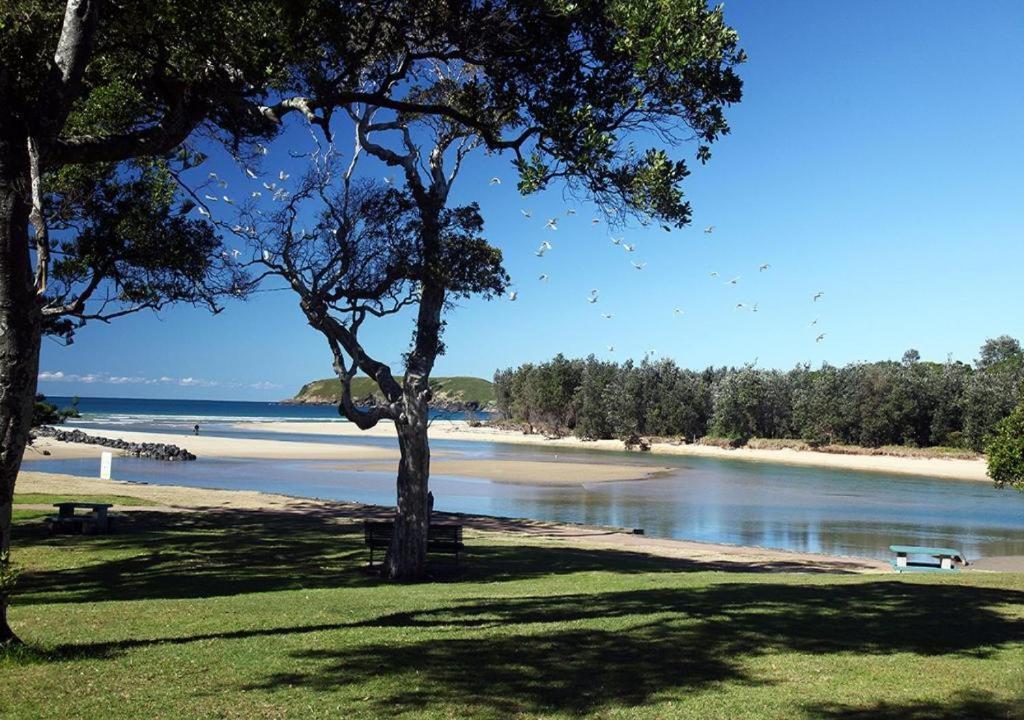 Bill'S Leilighet Coffs Harbour Eksteriør bilde